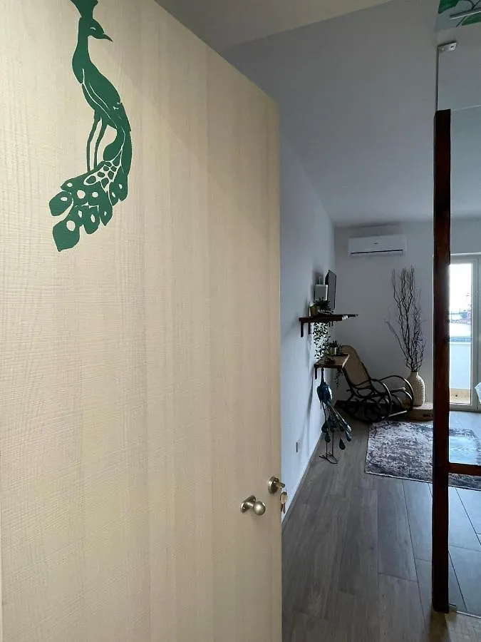 Urban Jungle Rooms Naples