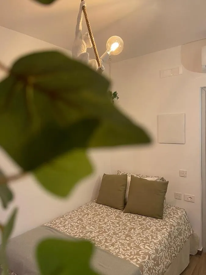 Urban Jungle Rooms Naples